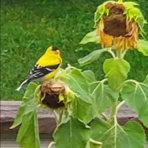 Meet your Posher, Leah